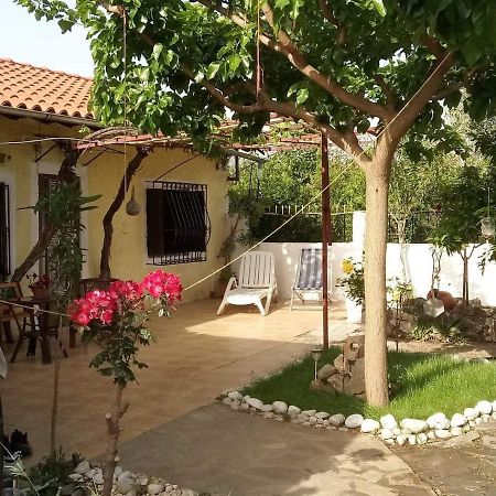 Panos And Chrisas House Villa Drepano  Екстериор снимка