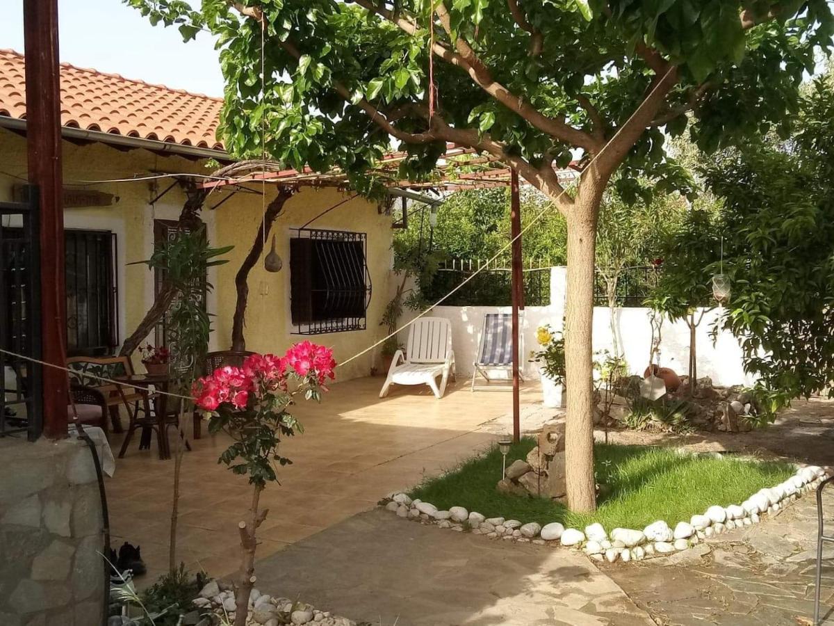 Panos And Chrisas House Villa Drepano  Екстериор снимка