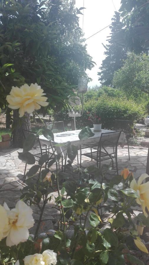 Panos And Chrisas House Villa Drepano  Екстериор снимка