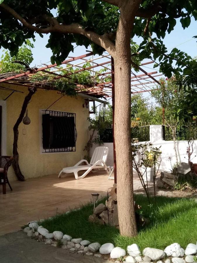 Panos And Chrisas House Villa Drepano  Екстериор снимка