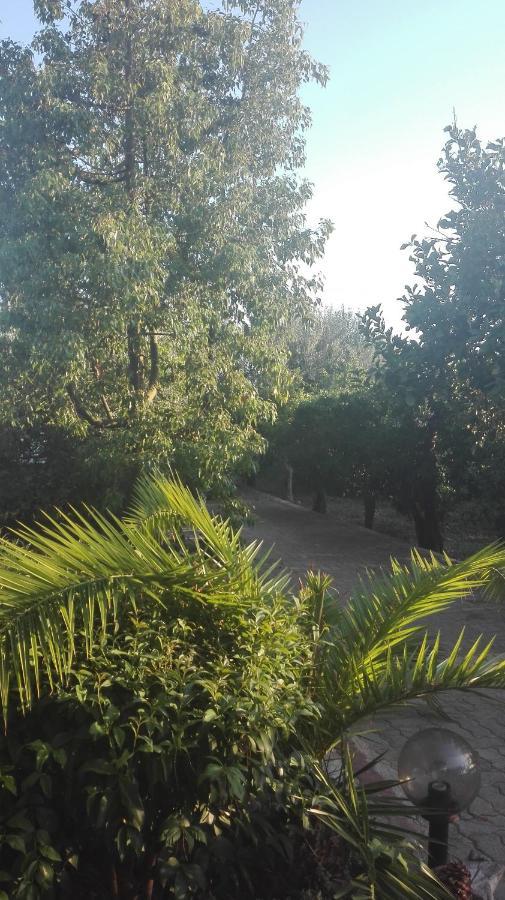 Panos And Chrisas House Villa Drepano  Екстериор снимка