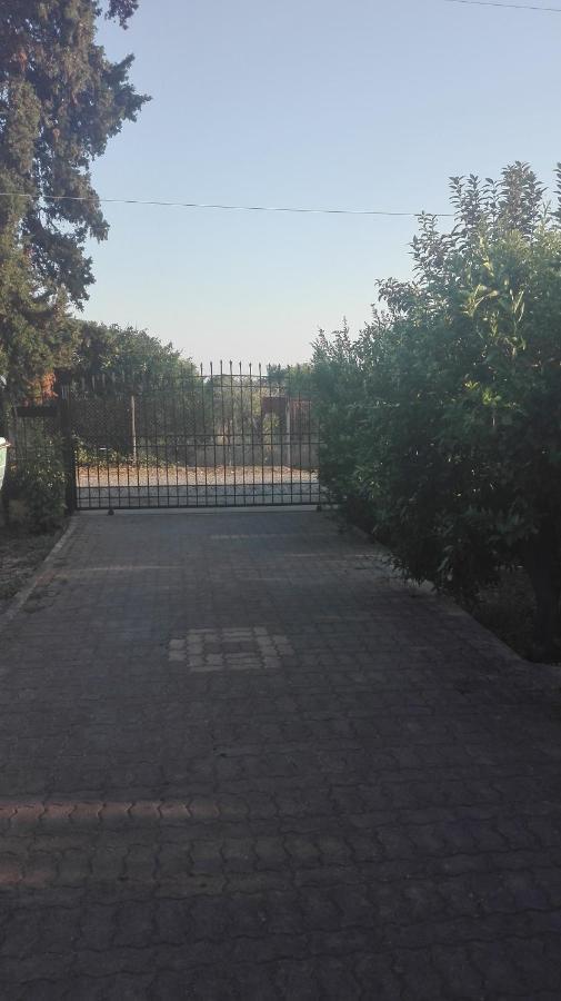 Panos And Chrisas House Villa Drepano  Екстериор снимка