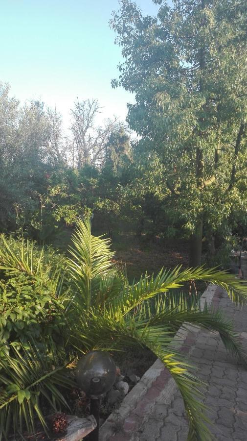 Panos And Chrisas House Villa Drepano  Екстериор снимка