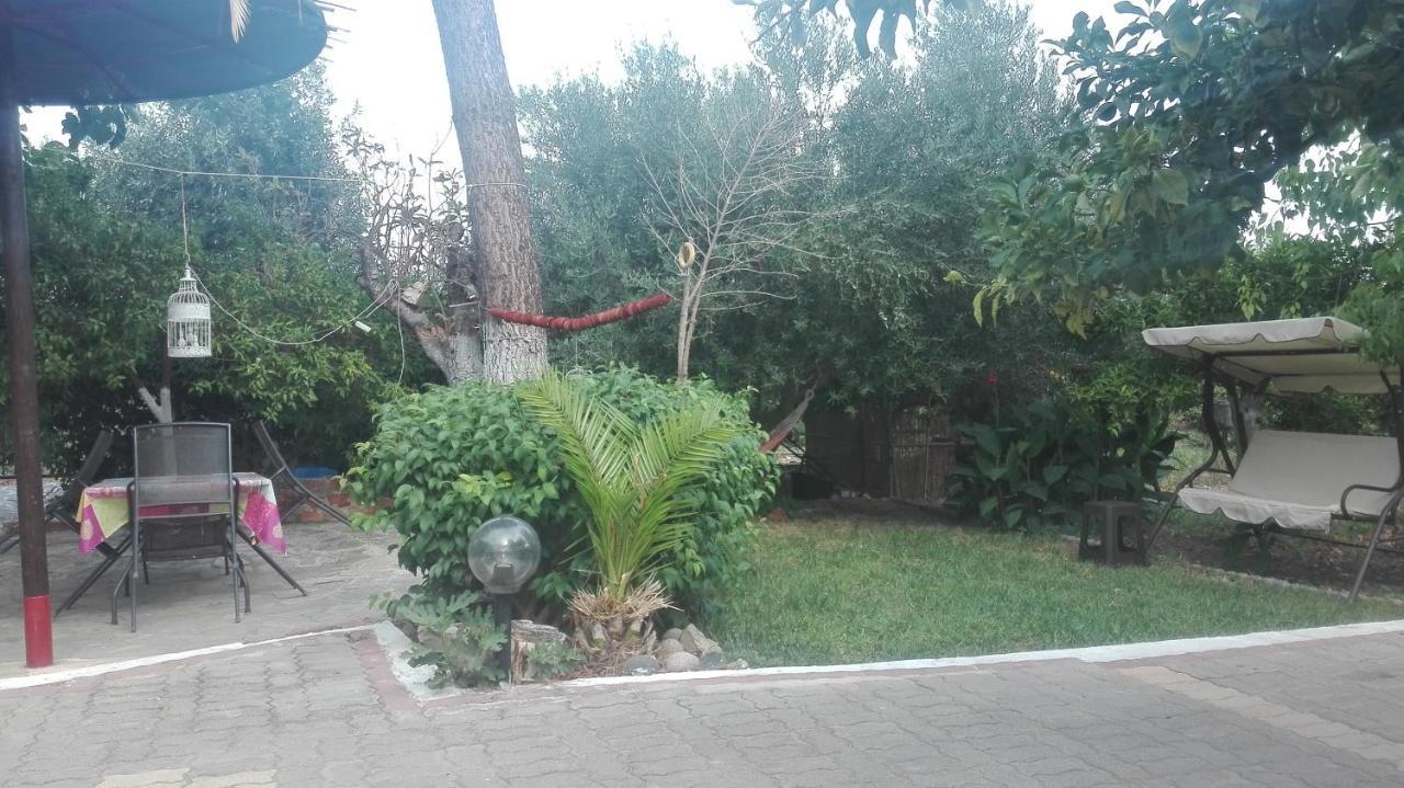 Panos And Chrisas House Villa Drepano  Екстериор снимка