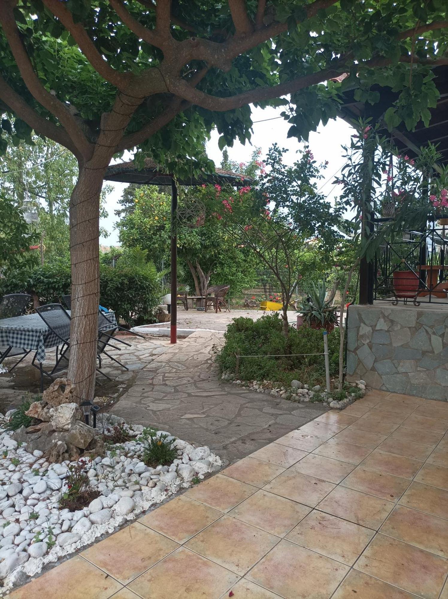 Panos And Chrisas House Villa Drepano  Екстериор снимка